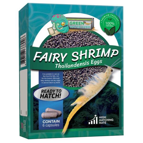 Fairy Shrimp thailandensis product