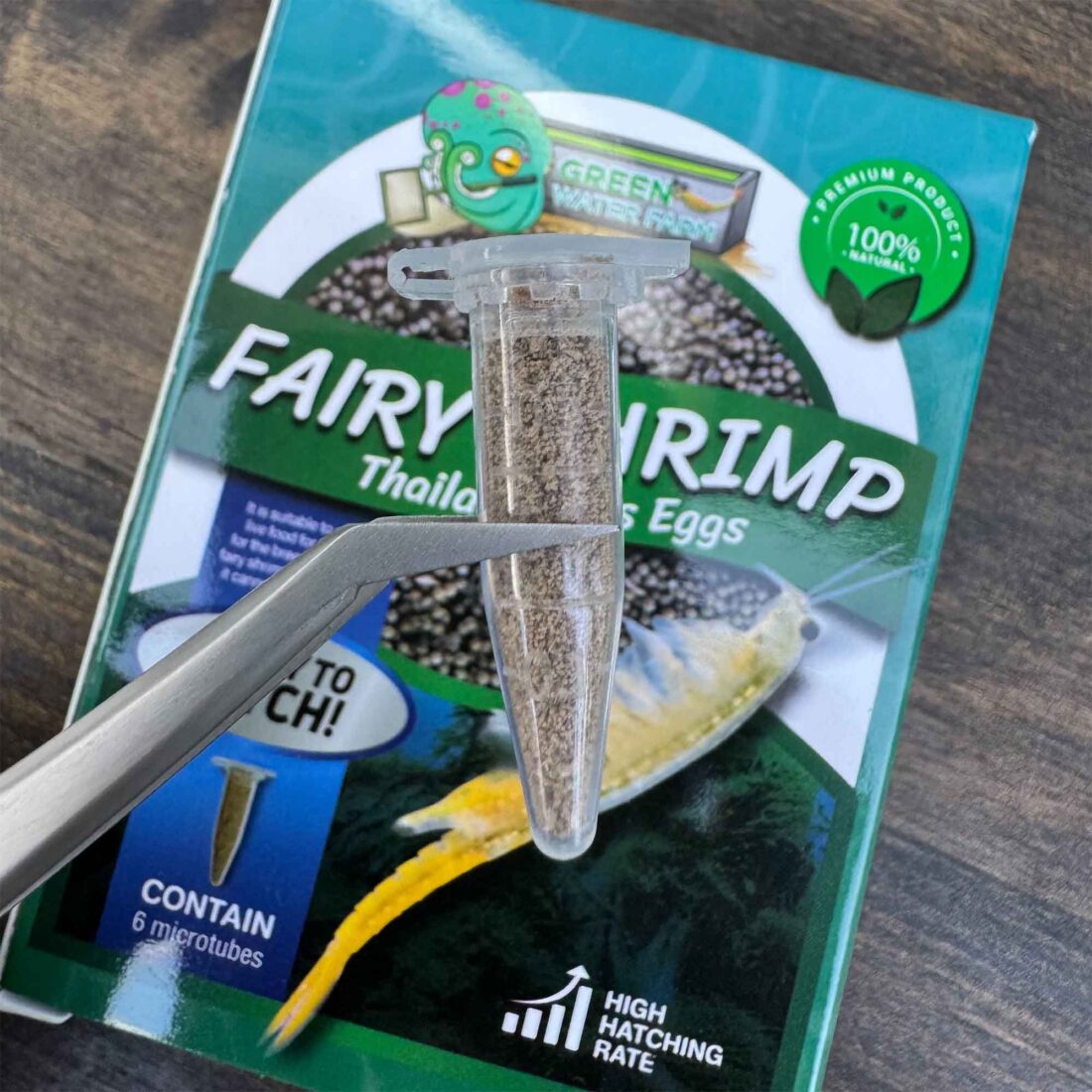 Clear packaging showing Fairy Shrimp Thailandensis complete hatch kit with branding details.