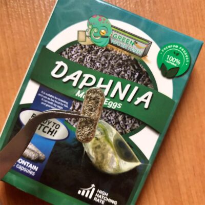 Daphnia Eggs Capsule