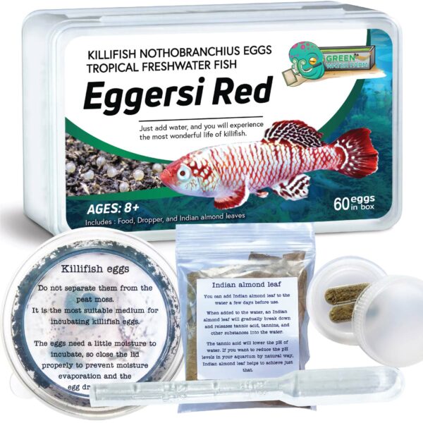 Killifish Eggersi Red