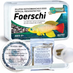 Killifish Foerschi