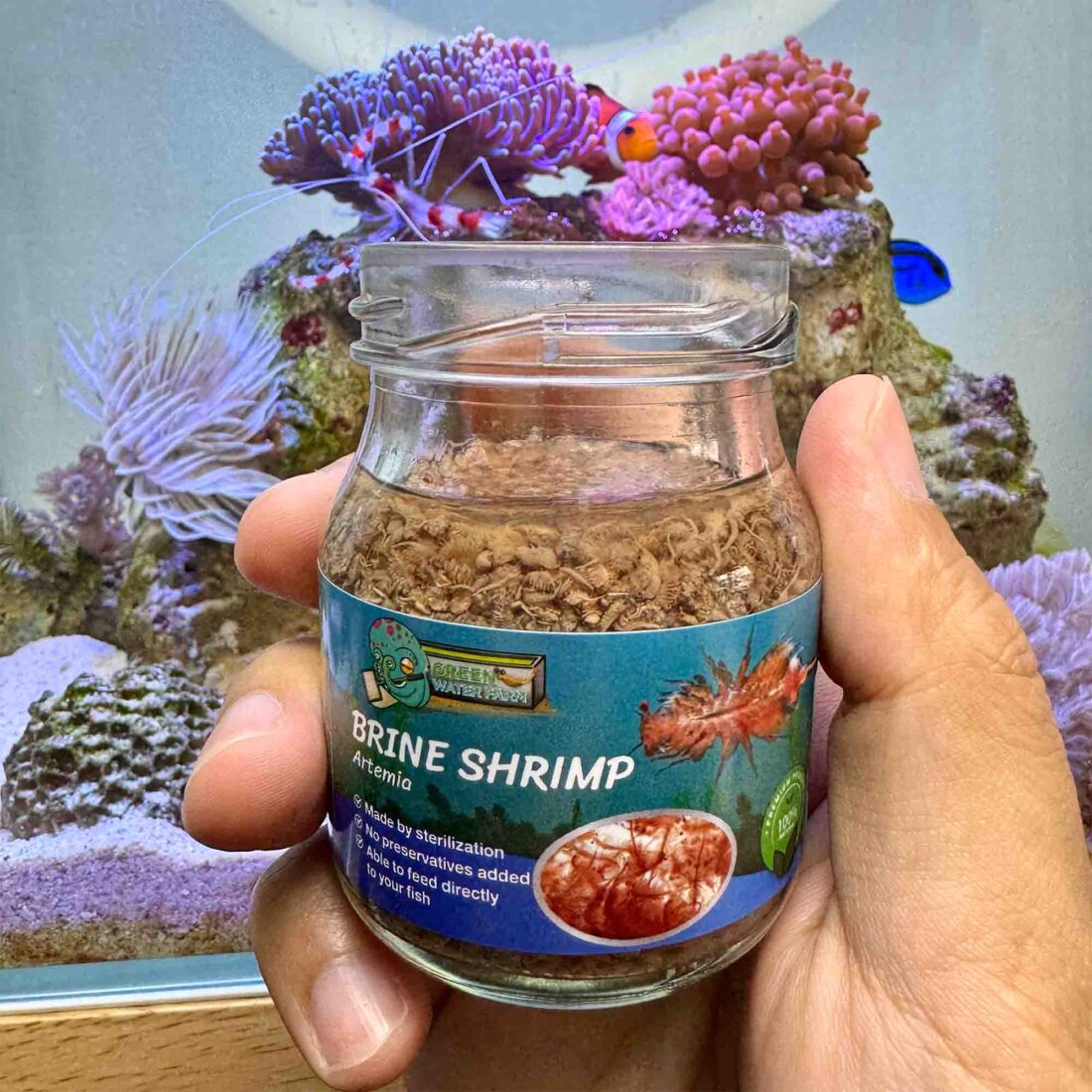 Sterilized Brine Shrimp suitable for laboratory and research applications